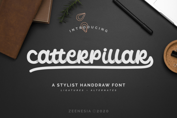 Catterpillar Font for Business Branding