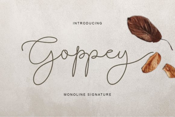 Goppey Script Handwritten Font for Delicate Branding