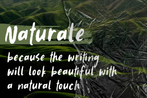 Naturale: A Simple & Neat Script Handwritten Font for Campaign Design